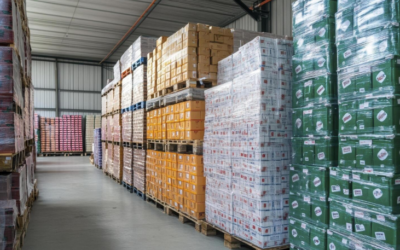 How Digital Transformation Reshapes Field Sales and Distributor Operations