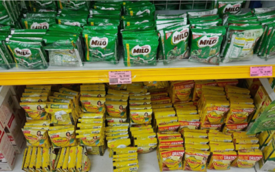 Optimizing Van Sales: How Mobile Technology Transforms Route-to-Market Efficiency